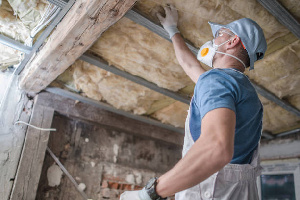 Best DIY Insulation Kits and Guidance in Womelsdorf, PA